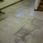 Tile and Grout Cleaning
