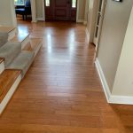 Wood Floor Cleaning