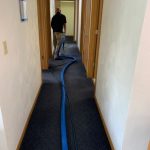 Carpet Cleaning