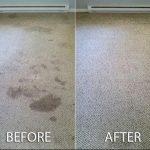 Carpet Cleaning