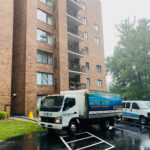 Carpet Cleaning