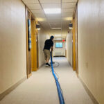 Carpet Cleaning