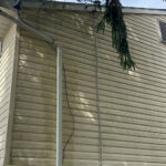 Pressure Washing